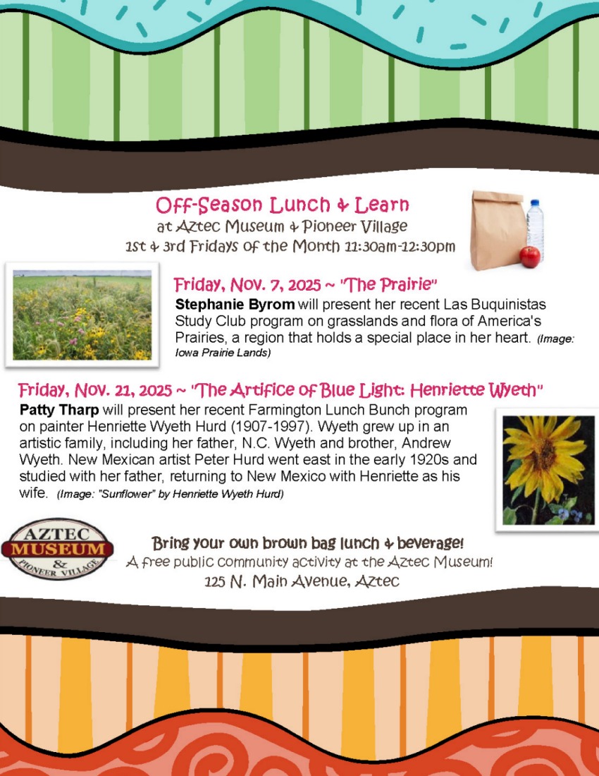 2025-11-07 AMPV Lunch & Learn